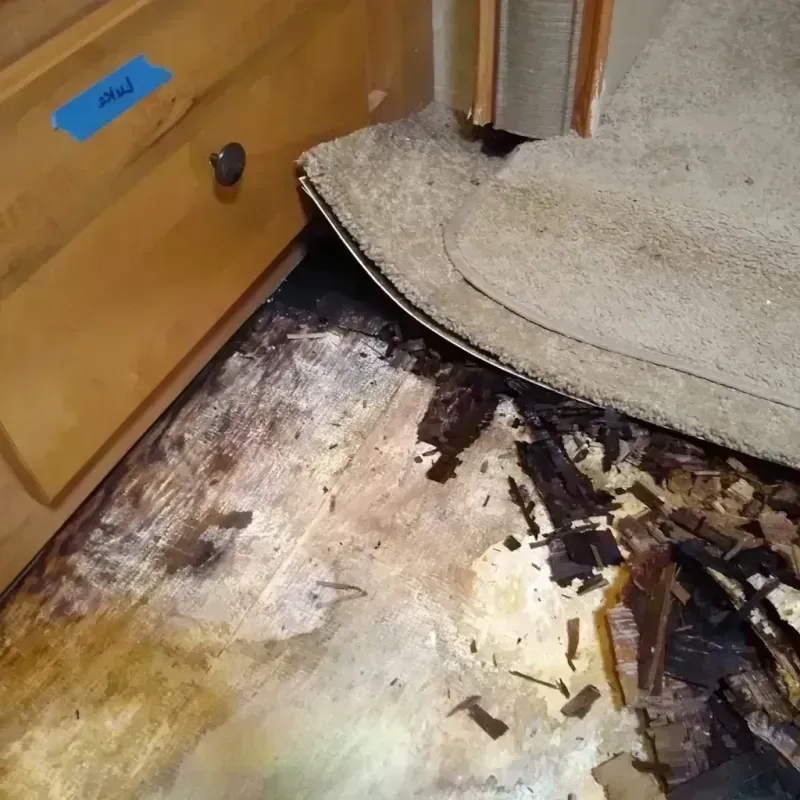 Wood Floor Water Damage in South Haven, IN